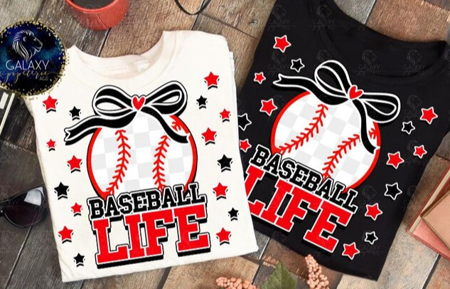 Baseball Life