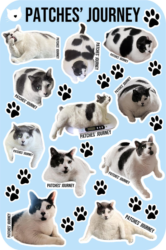 Patches Sticker Sheet
