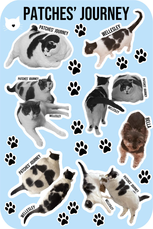 Patches and Friends Sticker Sheet