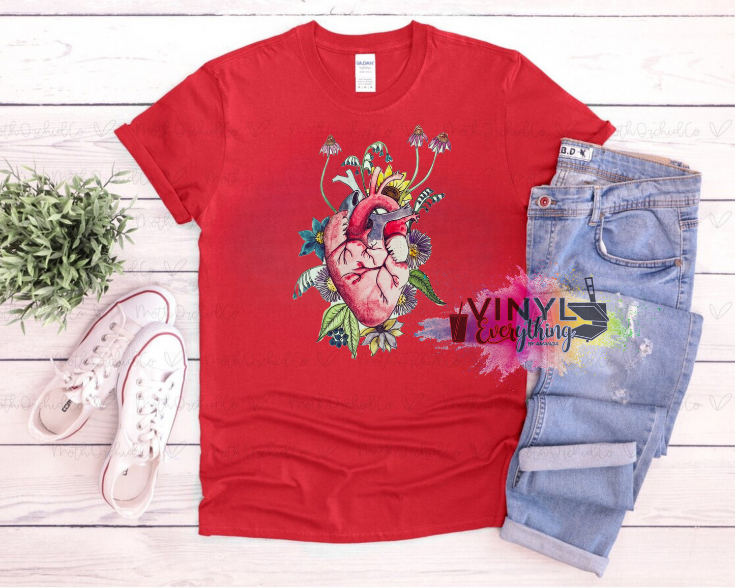 Anatomical Heart - All Sizes