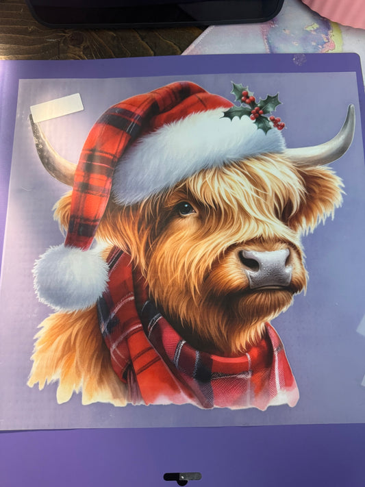 Highland Cow