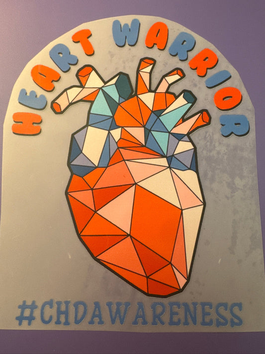 YOUTH: Heart Warrior CHD Awareness