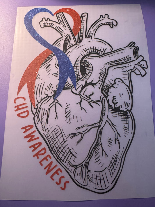 Adult: Anatomical Heart