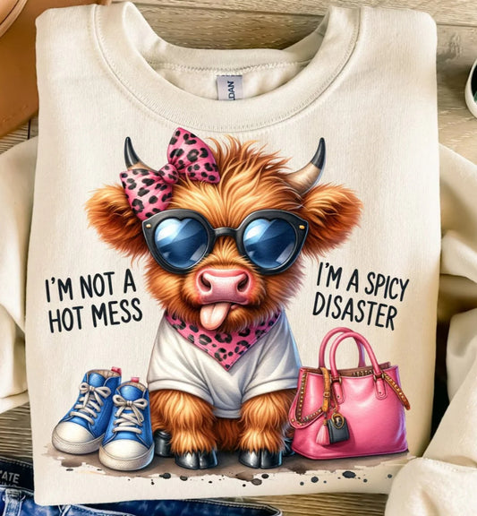 I’m not a Hot Mess, I’m a Spicy Disaster