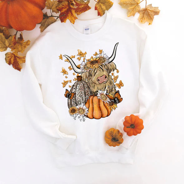 Highland Fall Cow