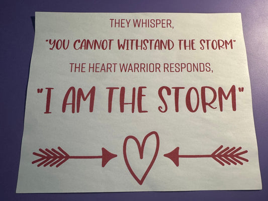YOUTH: I Am The Storm