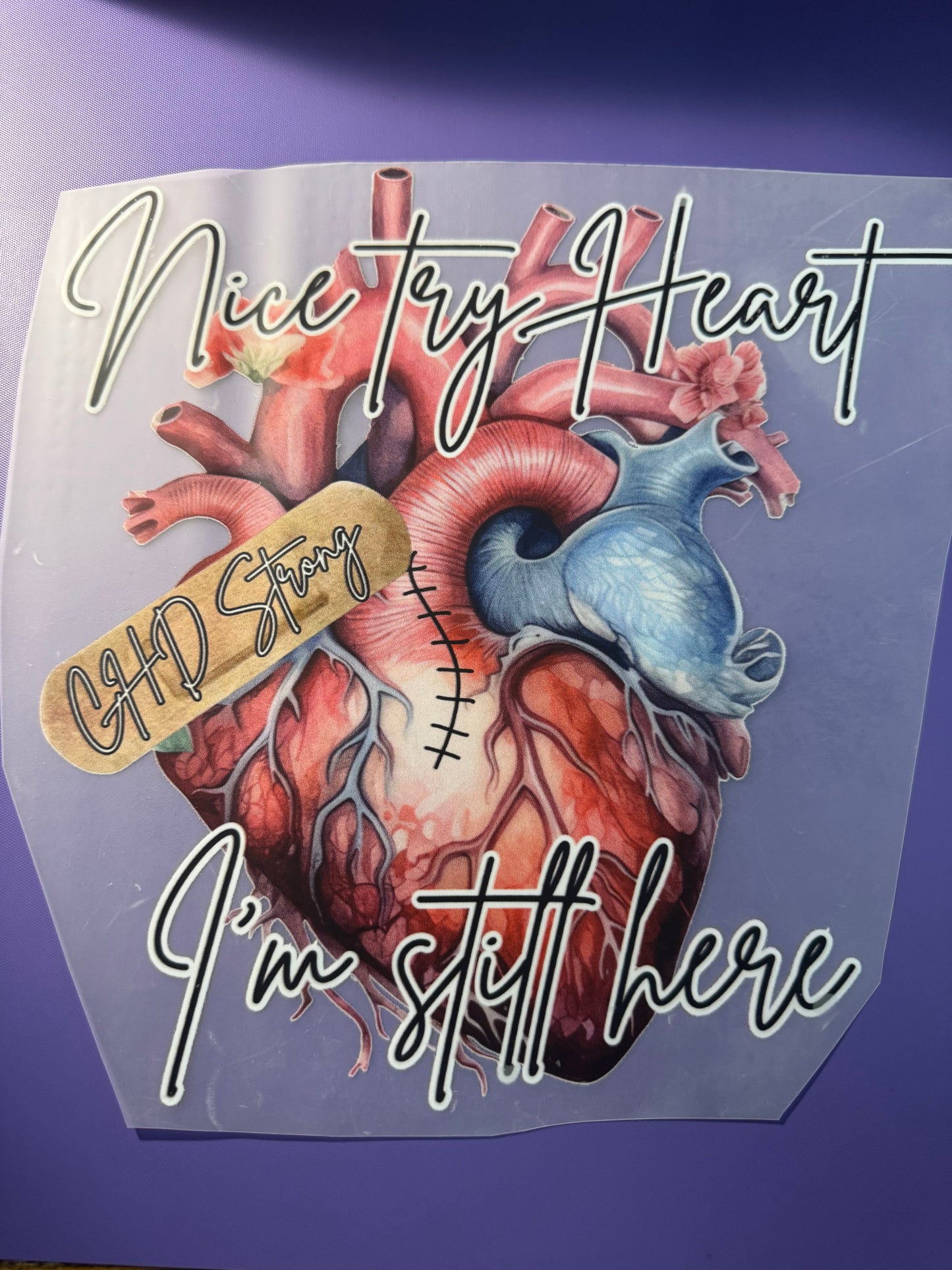 Adult: Nice Try Heart