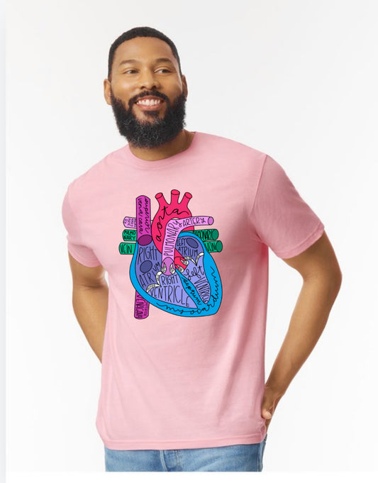 Anatomical Heart