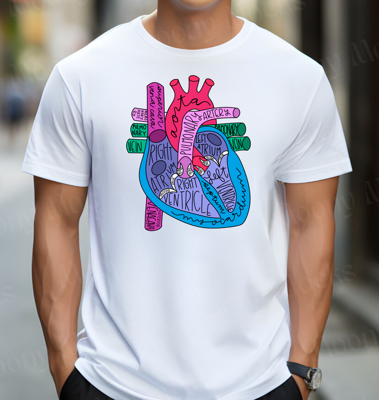 Anatomical Heart