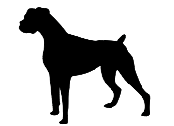 Boxer Car Decal