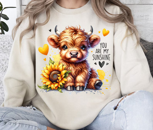 Highland Cow