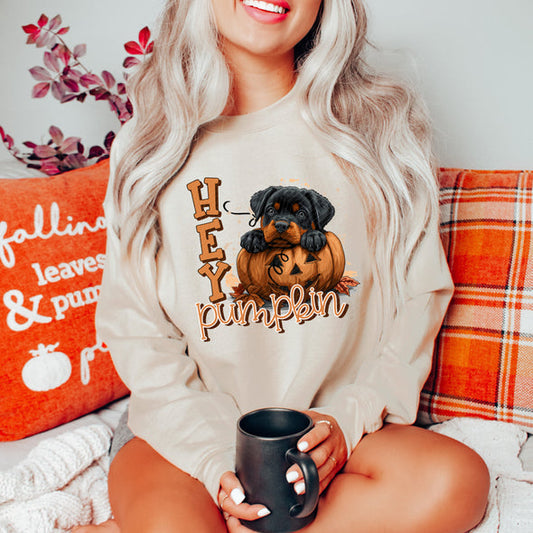 Hey Pumpkin - Yorkie