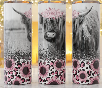 Highland Cow
